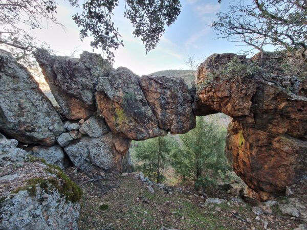 Castilla-La Mancha celebra el Día mundial del Medio Ambiente con numerosas actividades en los centros de educación ambiental de la región