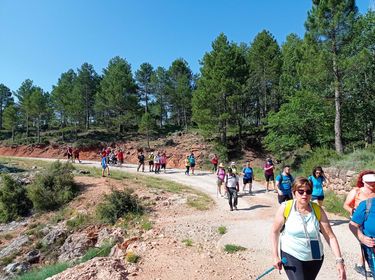 La provincia de Cuenca ha sido este domingo el epicentro regional del senderismo inclusivo