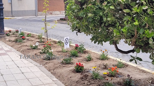 Un particular coloca carteles y plantas en El Paseo de la Estación para que los dueños de mascotas se abstengan de permitir que hagan sus necesidades en la zona