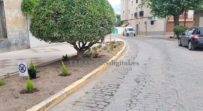 Los perros y los jardínes
