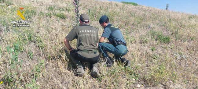 La Guardia Civil investiga a dos personas como presuntas autoras de un delito relativo a la protección de la flora en Yeles