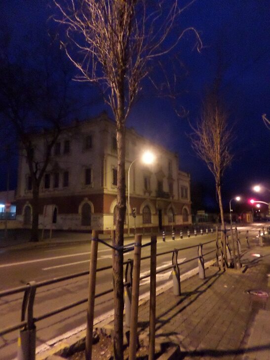 “La mujer es el pilar esencial de la vida”