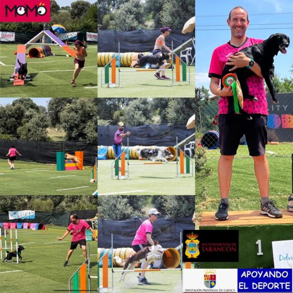 Continúan las incorporaciones y buenos resultados en Agility para el Club Momo de Tarancon.