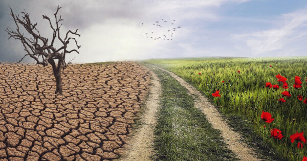 “Es el momento de adoptar medidas ambiciosas para frenar el cambio climático”
