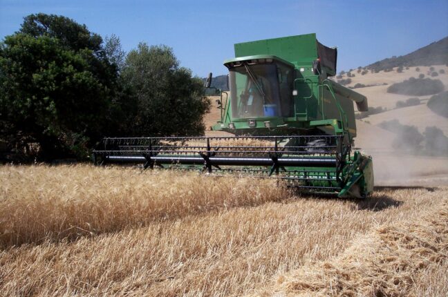 El Ministerio de Agricultura, asigna más de 2,6 millones de euros de la reserva nacional de pago básico para la instalación de 499 nuevos agricultores y ganaderos de Castilla-La Mancha