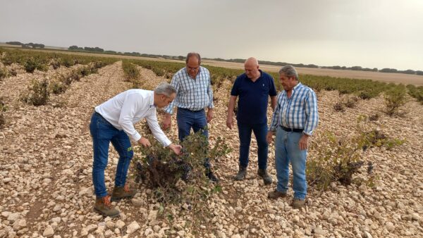 El delegado de Agricultura visita San Clemente y Las Mesas para interesarse por el estado del campo conquense tras el paso de la DANA