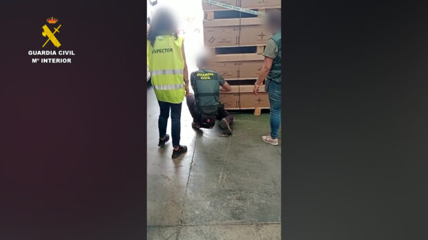 La Guardia Civil investiga a tres empresas dedicadas a la fabricación de embalajes de madera por delitos de falsedad documental y contra los recursos naturales y el medio ambiente.