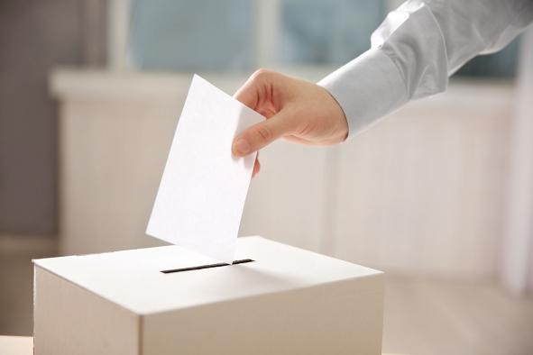 Convocados para el 22 de noviembre la elección y renovación de los consejos escolares públicos no universitarios