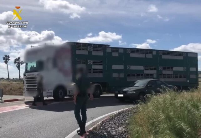 SEPRONA investiga a diecisiete personas por falsedad documental