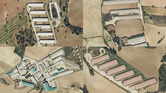 Ecologistas en Acción Castilla-La Mancha acusa a la Junta de Comunidades de acallar las protestas vecinales contra el modelo de ganadería industrial y subestimar la reactivación de licencias tras la moratoria