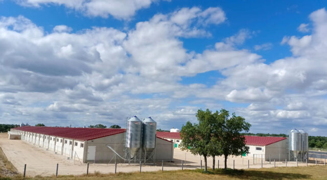 ICPOR recibe la certificación B+ Compromiso bienestar animal con la máxima calificación: excelente