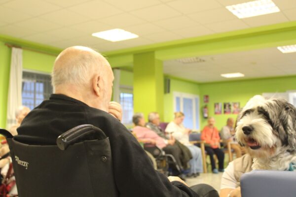 La Residencia Sagrado Corazón de Jesús de la Diputación mejora la vida de los residentes con ayuda de la terapia con perros