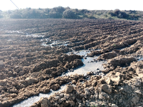 El Ayuntamiento de Carboneras de Guadazaón garantiza la potabilidad del agua de consumo del pueblo y pide a los ecologistas que “no alarmen”