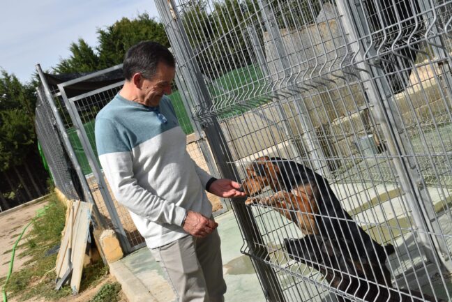 El Albergue Provincial de Animales duplica el número de adopciones pasando de 76 a 146 durante el año pasado
