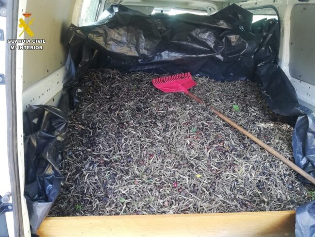 La Guardia Civil recupera casi siete toneladas de aceituna hurtada de los campos ciudadrealeños en una semana