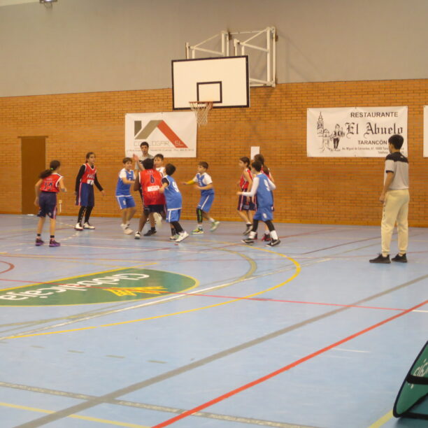 Hormigones y Ferrallas CB Tarancon, en la fase zonal, tiene desplazamiento en el equipo Junior y juega en casa el Senior