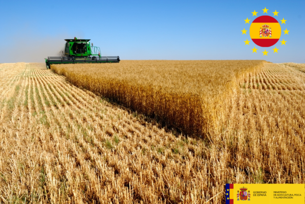España lidera en Europa los proyectos de  innovación en el sector agroalimentario  gracias a la labor de los grupos operativos