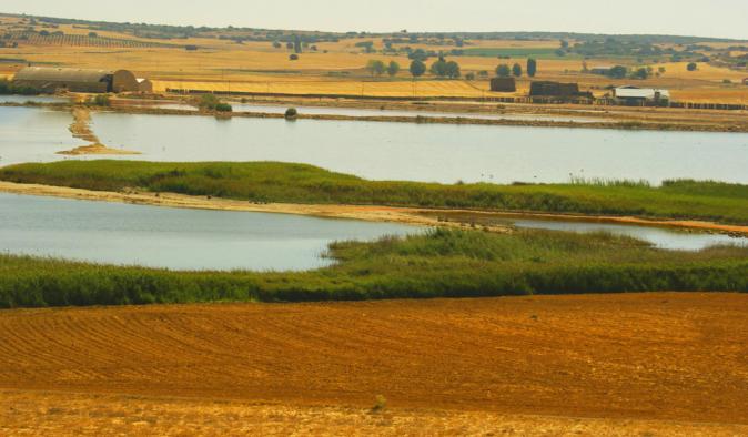 El Gobierno regional celebra el Día Mundial de los Humedales con numerosas actividades en los espacios naturales
