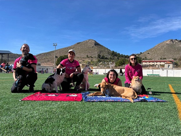 Excelente inicio de temporada para el Club Momo Agility Tarancón.