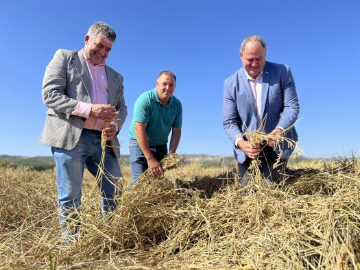 El Gobierno regional abre hoy el plazo para solicitar la PAC y otras ayudas de desarrollo rural destinadas a más de 100.000 agricultores y ganaderos