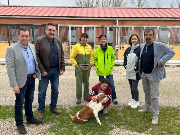 La Diputación de Cuenca pone en marcha el proyecto para el control de colonias felinas en 28 municipios de la provincia