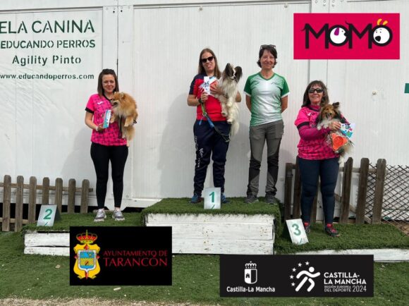 El club Momo Agility Tarancón de ocho binomios que participan en un concurso en la localidad madrileña de Pinto, tres suben a podium en una prueba de alto nivel
