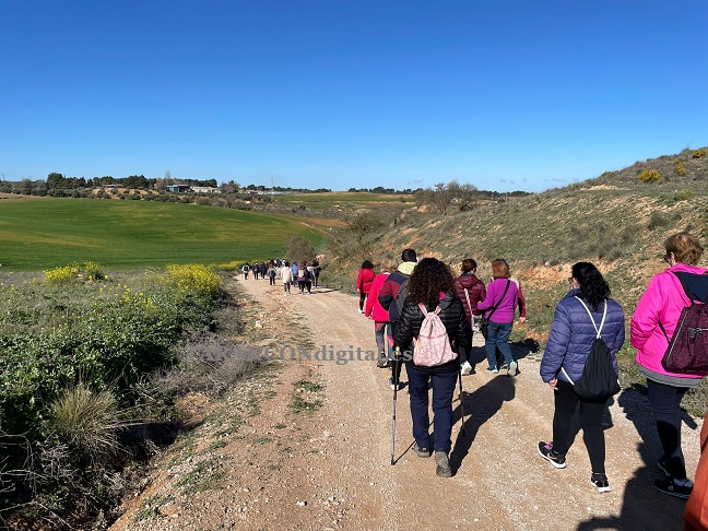 Éxito de participación en la ruta de senderismo «Tarancón camina por la igualdad» en el marco de la campaña 8M