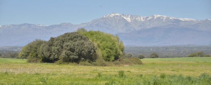 Castilla-La Mancha conmemora el Día Internacional de los Bosques con numerosas actividades de educación ambiental en toda la región