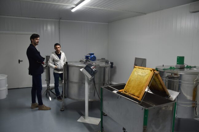 La Diputación de Cuenca ayuda a los pequeños productores de miel a poder comercializar directamente sus productos