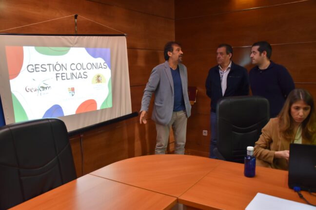 La Diputación de Cuenca y GEACAM trabajarán para concienciar sobre el control de las colonias felinas, Tarancón es uno de los municipios donde se está llevando a cabo este proyecto