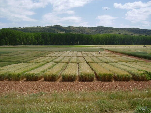 Más autoempleo significa más futuro para las mujeres del medio rural en Castilla-La Mancha