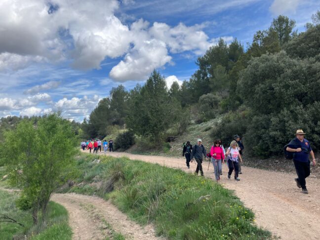 El primer Circuito de Senderismo Diputación de Cuenca recorrió el sendero del Manco de La Pesquera con casi un centenar de participantes   