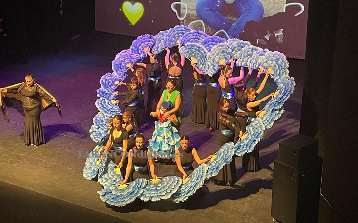 Tarancón se une en solidaridad con la gala benéfica a favor del proyecto «Cambiando vidas con Elsa»