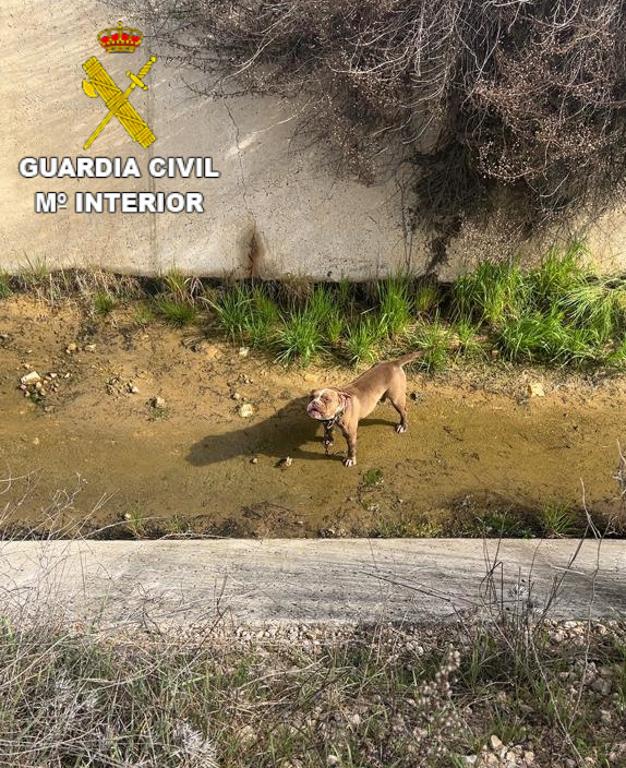 La Guardia Civil rescata un perro de un  canal de agua