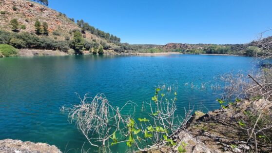 Un total de 170 efectivos participan en un simulacro en Montalbo con el objetivo de ejercitar y reforzar la activación y aplicación eficaz del PETCAM