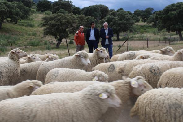 Castilla-La Mancha reivindica un medio rural vivo que crece sobre sus raíces y que merece progreso y bienestar