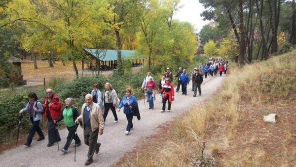 La programación de Rutas Senderistas para Mayores de Castilla-La Mancha cuenta con 30 rutas y 6.500 potenciales beneficiarios