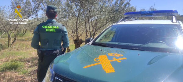 La Guardia Civil de Tarancón detiene a una persona e  imputa a otra por sustraer 2.000  kilogramos de aceitunas
