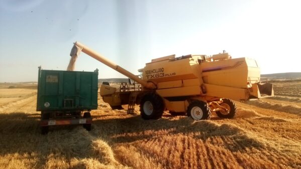 ASAJA pide a Ministerio de Agricultura y UE que prohíban la importación de grano en campaña para evitar el desplome de los precios