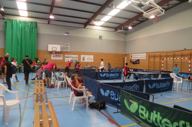El Club Tenis de Mesa Tarancón, suma unos buenos resultados en el campeonato de Castilla la Mancha, tanto absoluto, como categorías inferiores, logrando varios podium