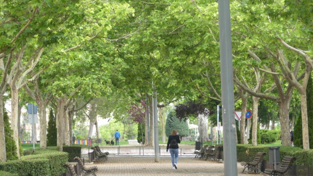 Ceoe Cepyme Cuenca promueve empresas comprometidas con el medio ambiente