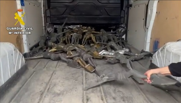 Milagros Tolón alaba el trabajo de la Guardia Civil, que ha detenido a seis personas por el robo de crucifijos en 19 cementerios de la provincia de Toledo