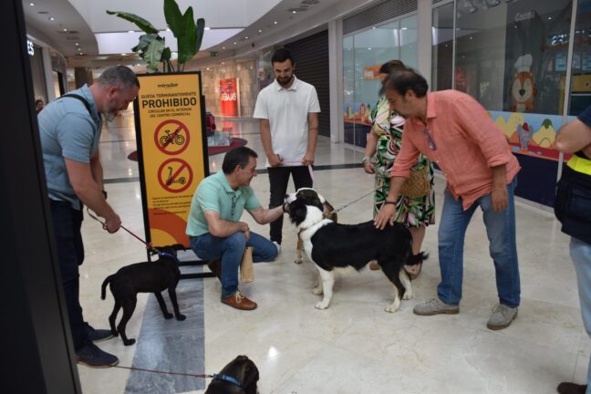 El albergue provincial de animales realiza 71 adopciones y 7 acogidas temporales durante la primera mitad del año