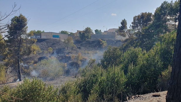 Actualización de datos sobre el incendio en la zona del Caño en Tarancón