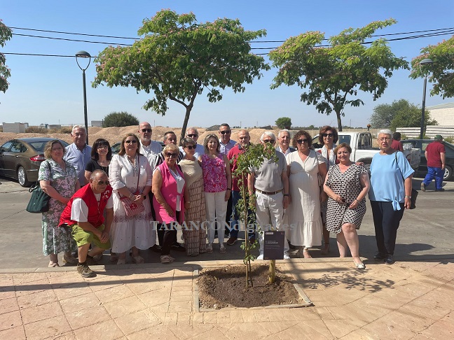 Cruz Roja planta el «Árbol de la Humanidad» en Tarancón para celebrar el 160º aniversario de su fundación en España
