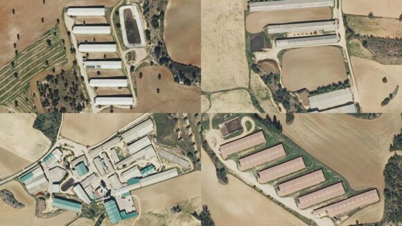 El Tribunal Supremo no admite el recurso de la Junta de C-LM que pretendía autorizar una macrogranja en Huerta de la Obispalía (Cuenca)