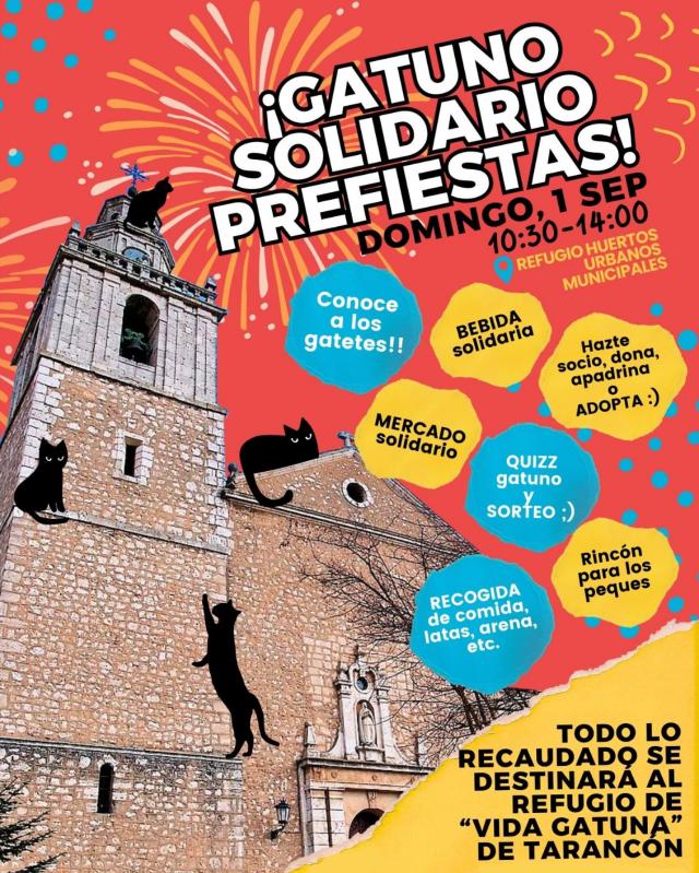 Tarancón celebra el «Gatuno Solidario Prefiestas» en apoyo al refugio «Vida Gatuna»