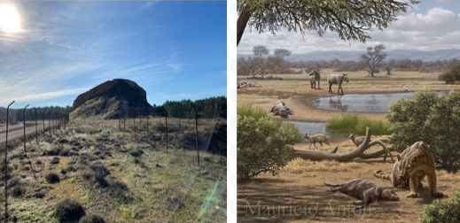 Desenterrando el pasado de hace 30 millones de años: excavaciones en el yacimiento paleontológico del Cerro Arenoso (Carrascosa del Campo) y Valquemado (Huete)