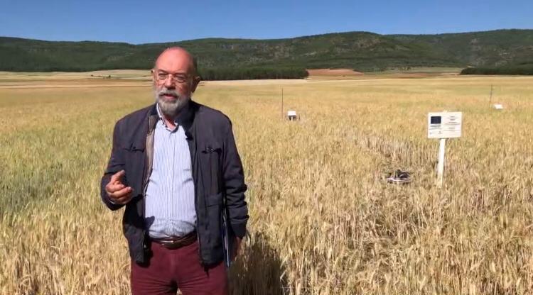 El modelo de economía circular en la gestión del estiércol líquido de porcino favorece la sostenibilidad y confirma su eficiencia como abono orgánico alternativo a los químicos