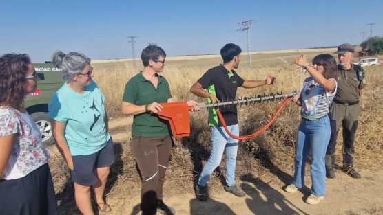 El Gobierno regional destina 10,7 millones de euros a proteger la avifauna de colisiones y electrocuciones, corrigiendo y adaptando más de 5.500 apoyos eléctricos peligrosos